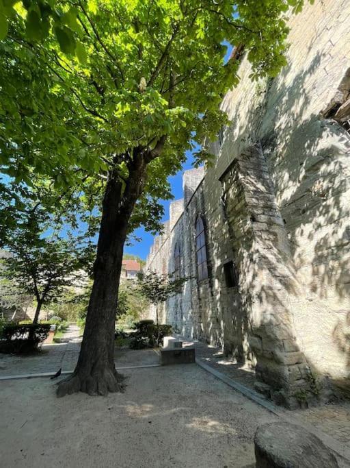 Charmant Studio, Centre Historique, Carmes 亞維農 外观 照片